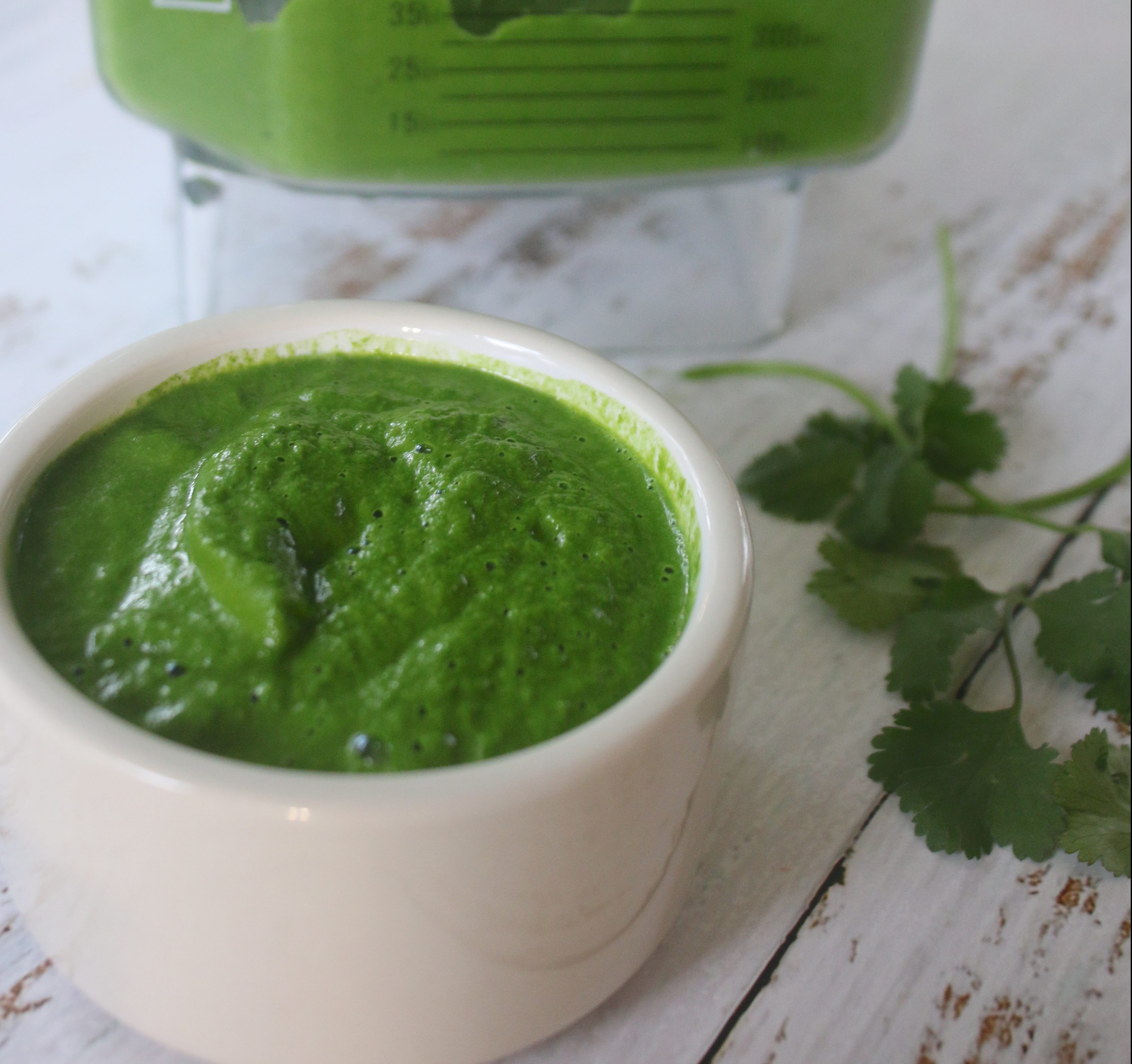 Cilantro Chutney A Li L Bit Of Spice
